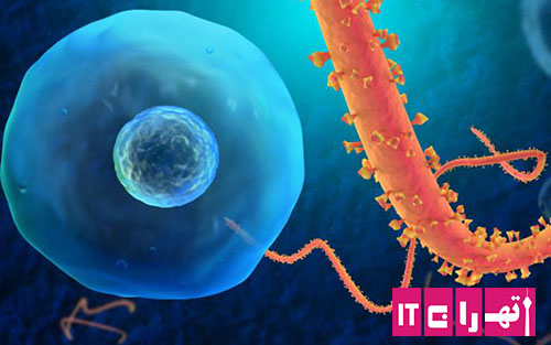 پروژه پرولوگ سیستم خبره تشخیص بیماری ابولا